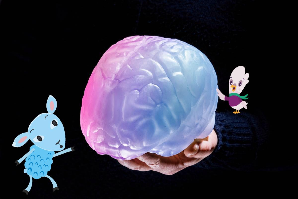 Aivot narikasta! -näyttelyyn menijä saa mukaansa väriä vaihtavat aivot.